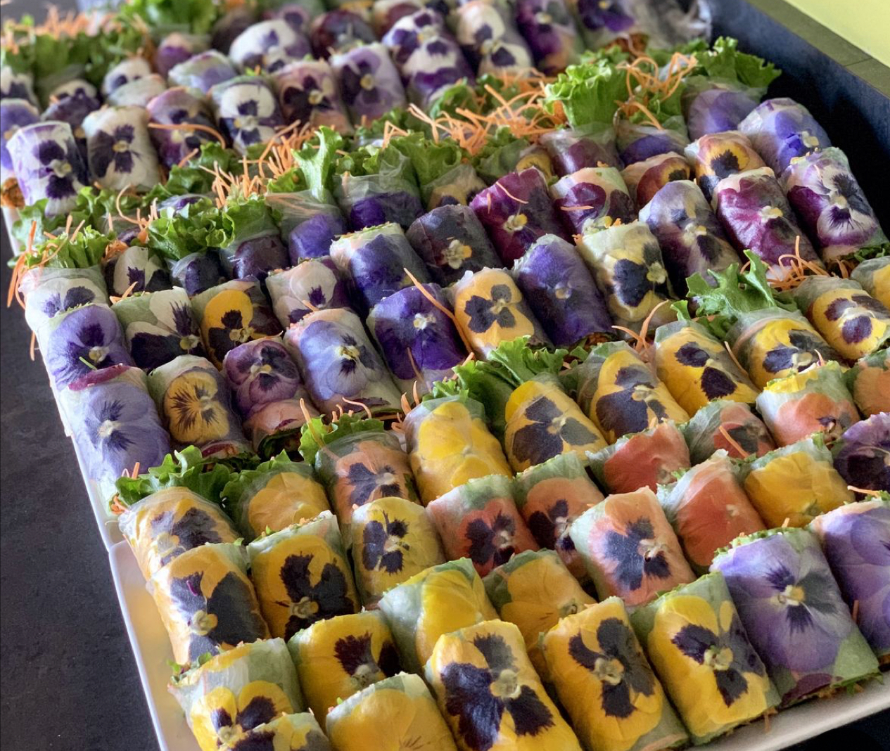 Fresh Summer Spring Rolls
